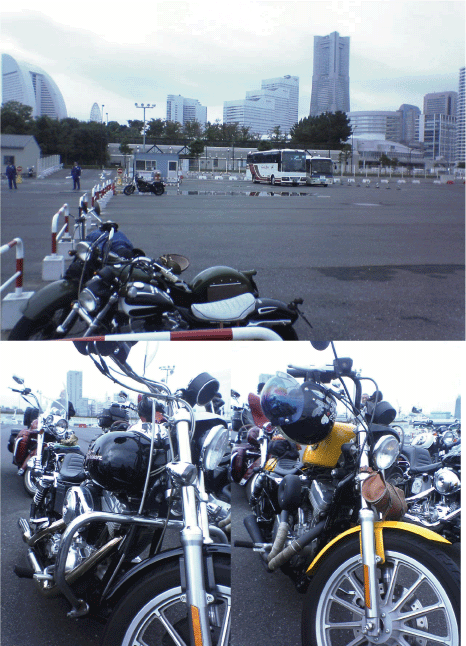 c0006028_10264729.gif