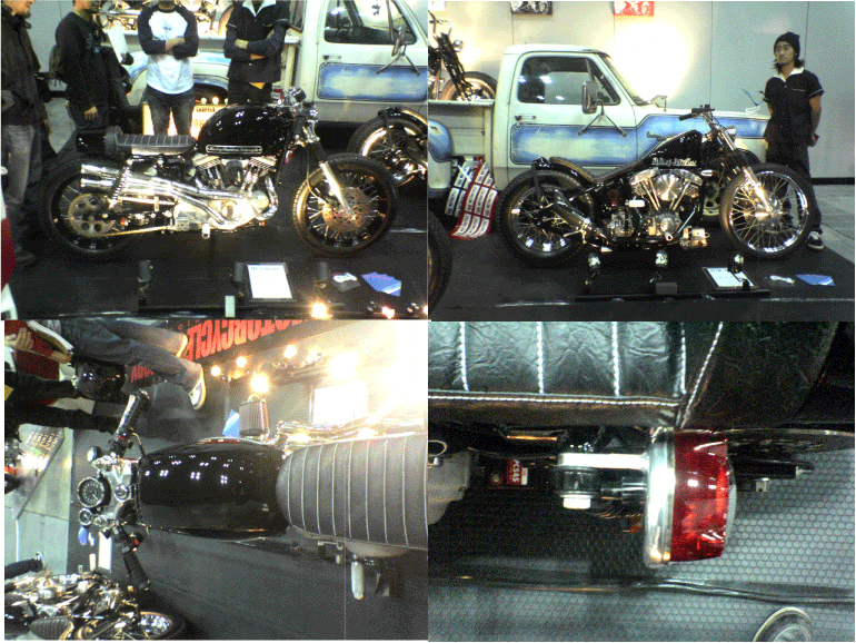 c0006028_10564022.gif
