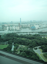 b0035734_1220216.jpg