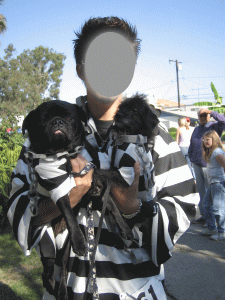 b0035453_15153637.gif