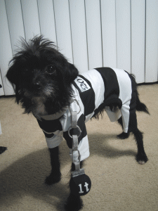 b0035453_15283851.gif