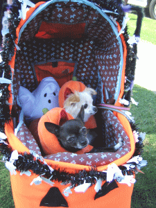 b0035453_15292999.gif