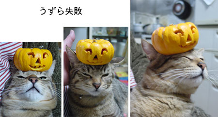 ハロウィーンのおばけカボチャ_b0065666_20563496.jpg