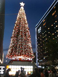 c0011169_823042.jpg