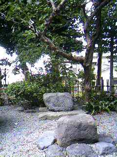 秋の一日_b0016474_0424493.jpg