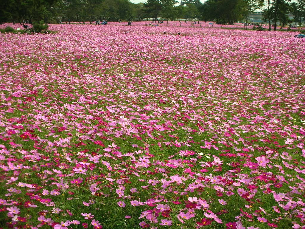 c0009275_23562576.jpg