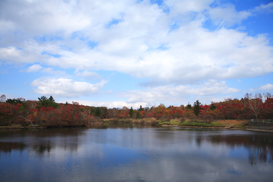 秋の八方ヶ原めぐり　（2005.10.30）_a0049978_234634.jpg