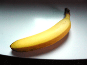 b0041903_616308.gif