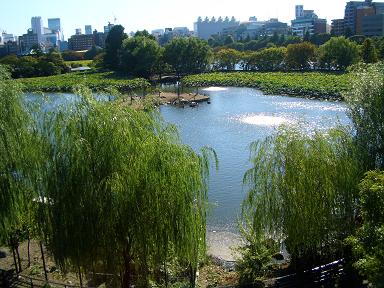 b0050805_09389.jpg