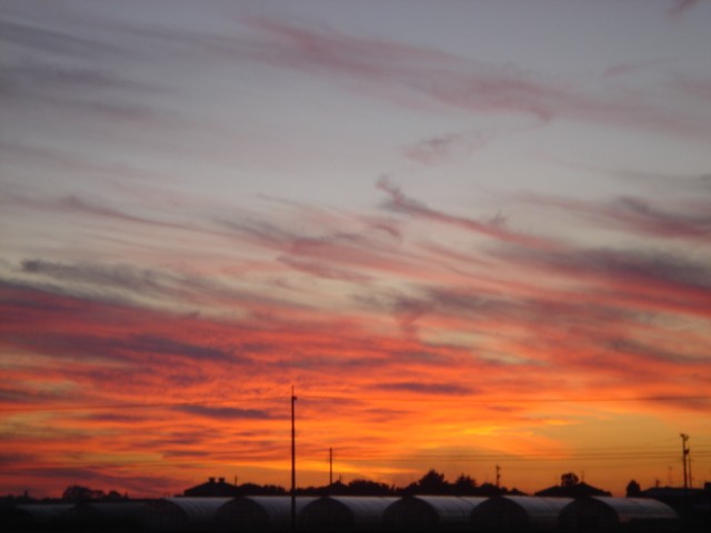 c0003723_20493118.jpg
