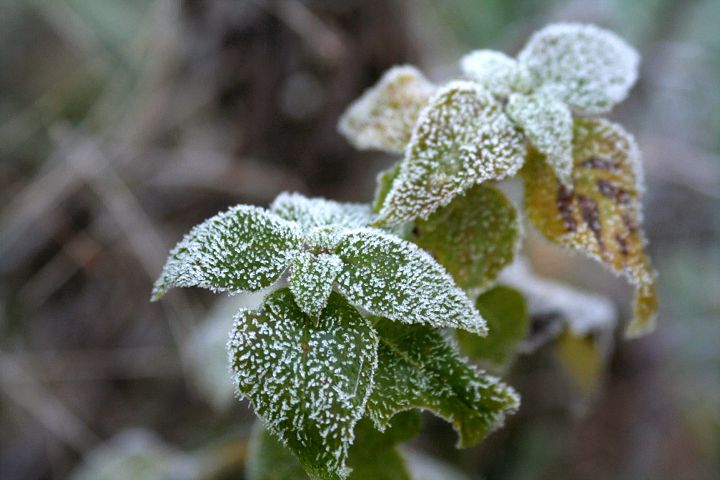 d0012134_2212552.jpg