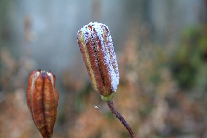 d0012134_2220425.jpg