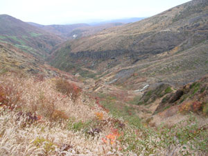 c0024135_2414090.jpg