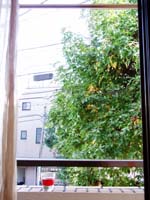 ＊ソウイウ コト＊　　2005,11,1_a0030038_228798.jpg
