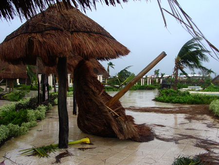 c0069159_3102663.jpg