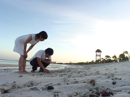 c0069159_3104258.jpg