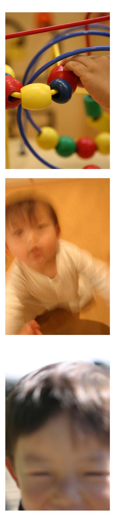 カワセミの子育ての話_e0025661_8405524.jpg