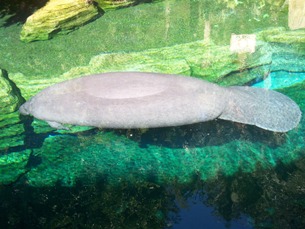 e0028272_1118429.jpg