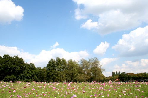 e0027083_1275235.jpg