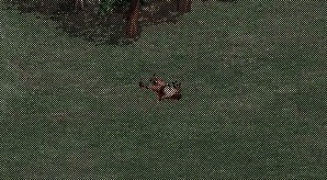 c0067785_17443996.jpg