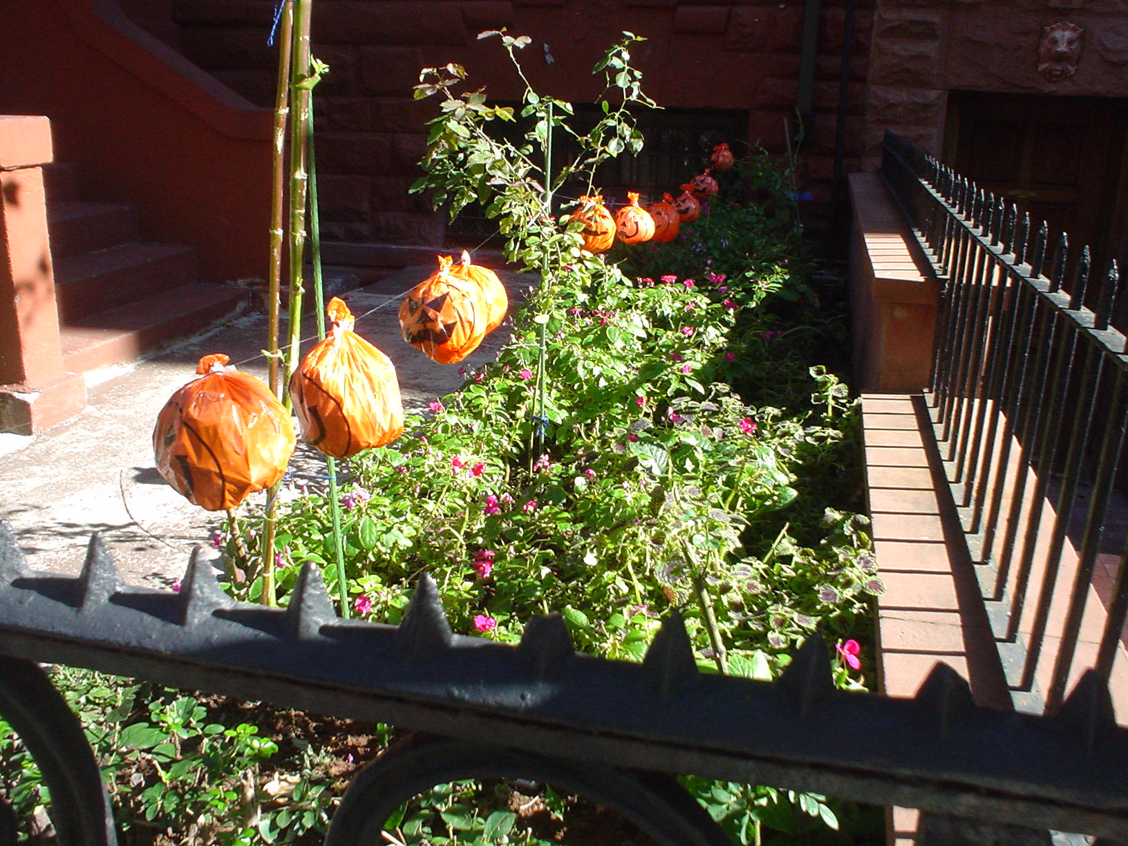 c0062495_12214619.jpg