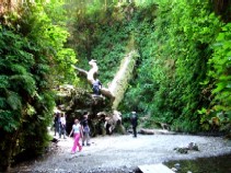 c0062603_1164334.jpg