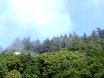 c0062603_118593.jpg