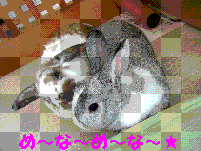 d0032004_20253047.gif