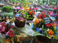 d0014909_22162579.jpg