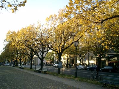 e0038811_8343534.jpg