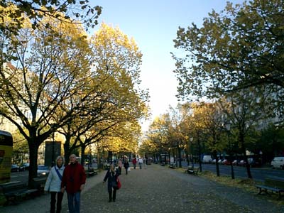 e0038811_834429.jpg