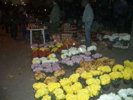 b0017215_4111070.jpg