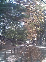 e0075015_21281690.jpg