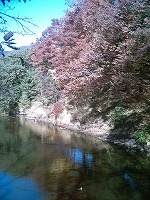 e0075015_2142098.jpg