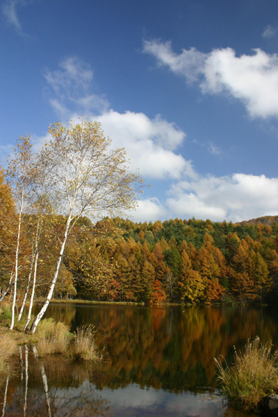 b0067346_1553520.jpg