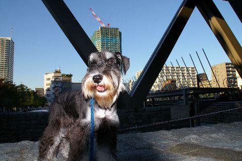 d0041865_2112334.jpg