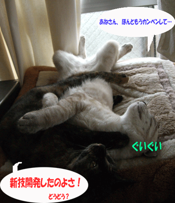 b0039168_5505234.gif