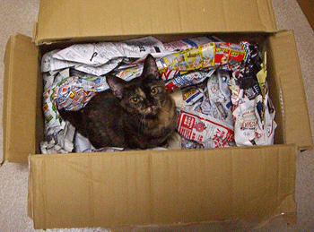 b0039168_610586.gif