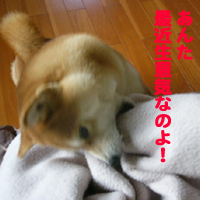 b0057675_9464835.jpg