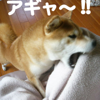 b0057675_9473755.jpg