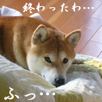 b0057675_9475367.jpg