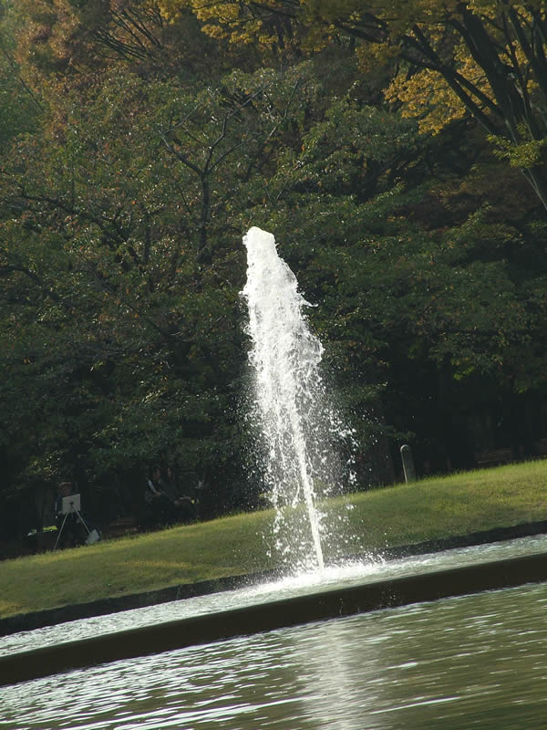 再び代々木公園_a0047900_1720181.jpg