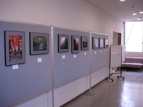 a0044202_2084561.jpg