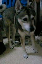 e0077910_11355371.jpg