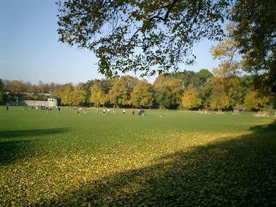 e0038811_8504327.jpg
