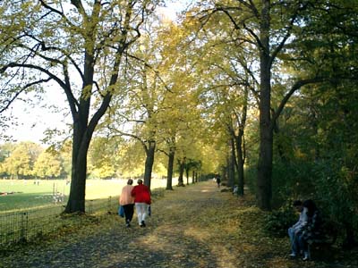 秋の日韓戦 in Schillerpark_e0038811_8513099.jpg