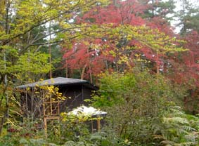 c0047814_1044977.jpg