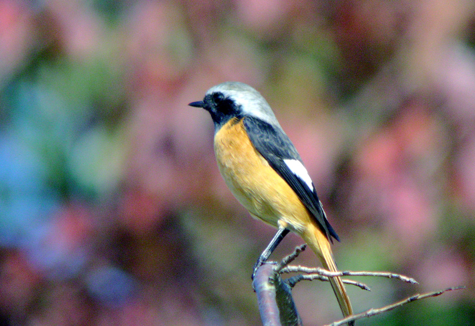 c0039919_17534110.jpg