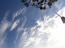 e0004839_13592982.jpg