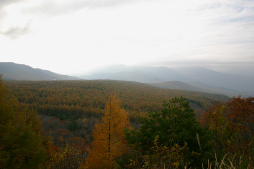 b0067346_213726.jpg